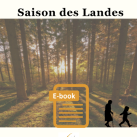 Saison des Landes, un e fiction landaise par Marie-Anne Boutet