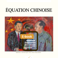 Equation chinoise e-book, comprendre la Chine d'aujourd'hui