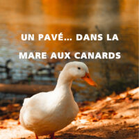Un pavé... dans la mare aux canards, écrit par Jean Georges Marcon